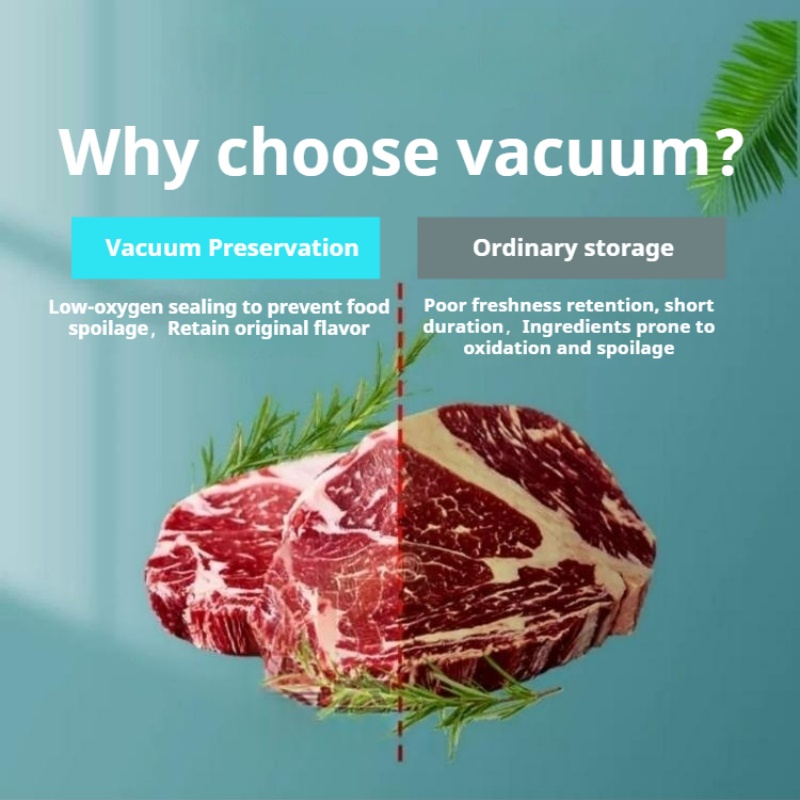 Food Vacuum Sealer Machine - Máquina Seladora a Vácuo de Mesa